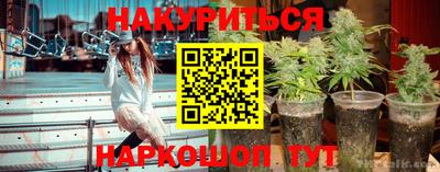 сатива Конаково