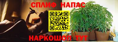 сатива Конаково